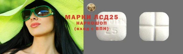 молекула духа Аркадак