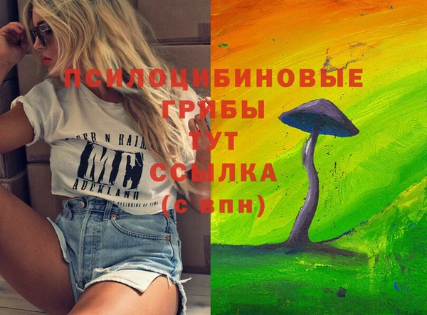 МДПВ Арсеньев