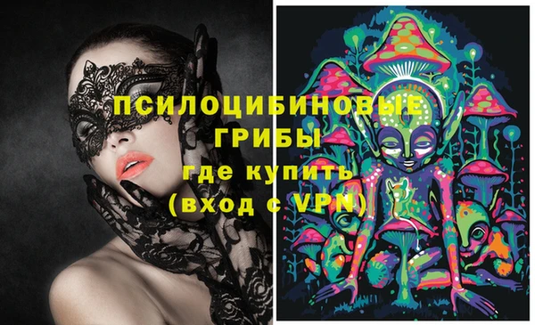 ПСИЛОЦИБИНОВЫЕ ГРИБЫ Армянск