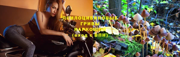 МДМА Новодвинск