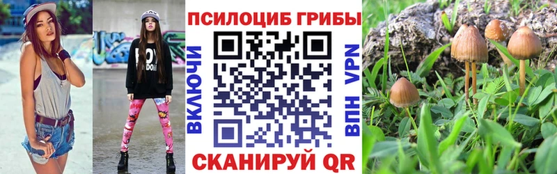 Псилоцибиновые грибы GOLDEN TEACHER  даркнет сайт  Феодосия 